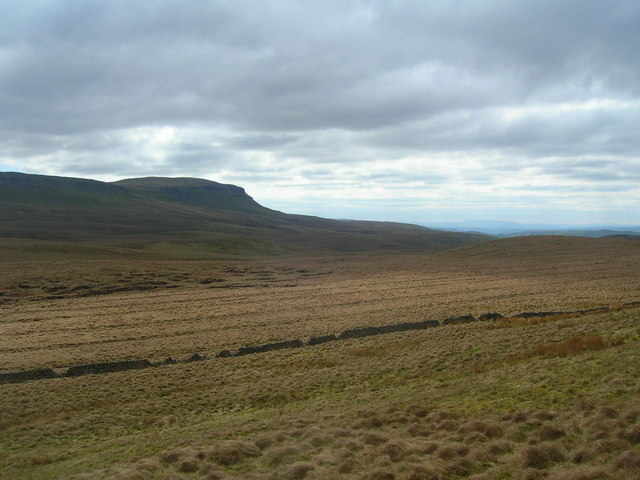 File:Dun Stone Moss - geograph.org.uk - 397325.jpg