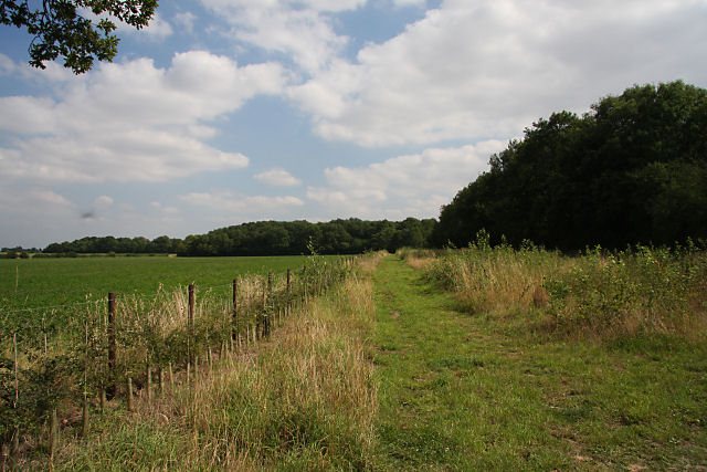 File:Farm track near Pitcher's Green - geograph.org.uk - 1457242.jpg