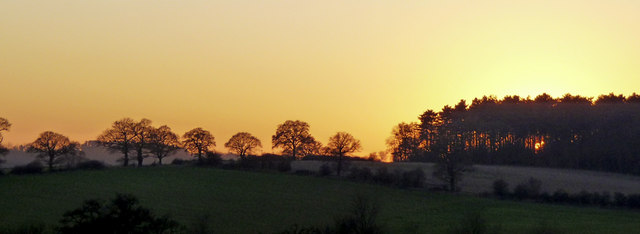 File:Farmland, Hog Hill, Enfield - geograph.org.uk - 1068603.jpg