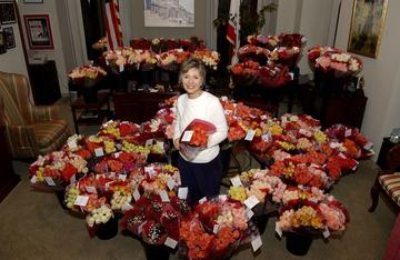 On Valentine's Day 2005, Senator Boxer received 4,500 roses for her work, including her "candid and eloquent remarks during the Rice confirmation [sic] hearings".