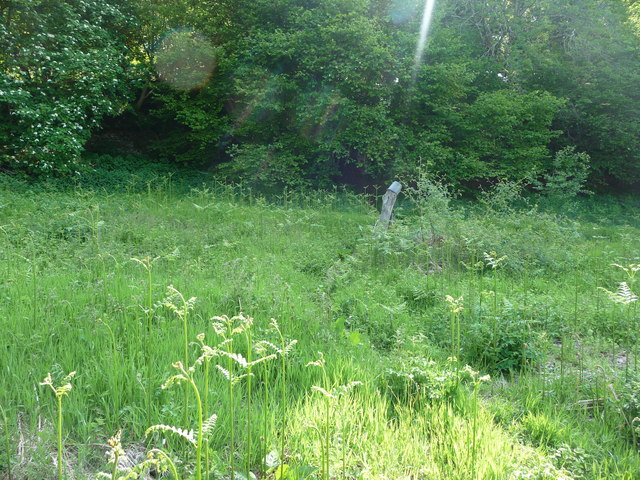 File:Field edge marker for Llywelyn's cave - geograph.org.uk - 1892965.jpg