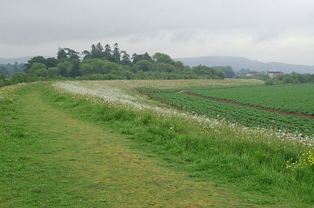 File:Flood barrier - geograph.org.uk - 460147.jpg