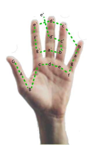 File:Guidonische hand.jpg