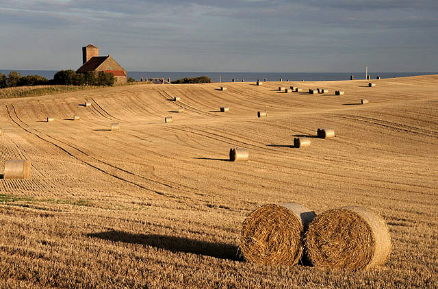 File:Harvest bales at St Abbs - geograph.org.uk - 1523769.jpg