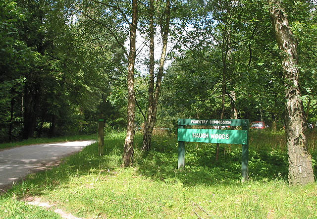 Haugh Woods - geograph.org.uk - 537821