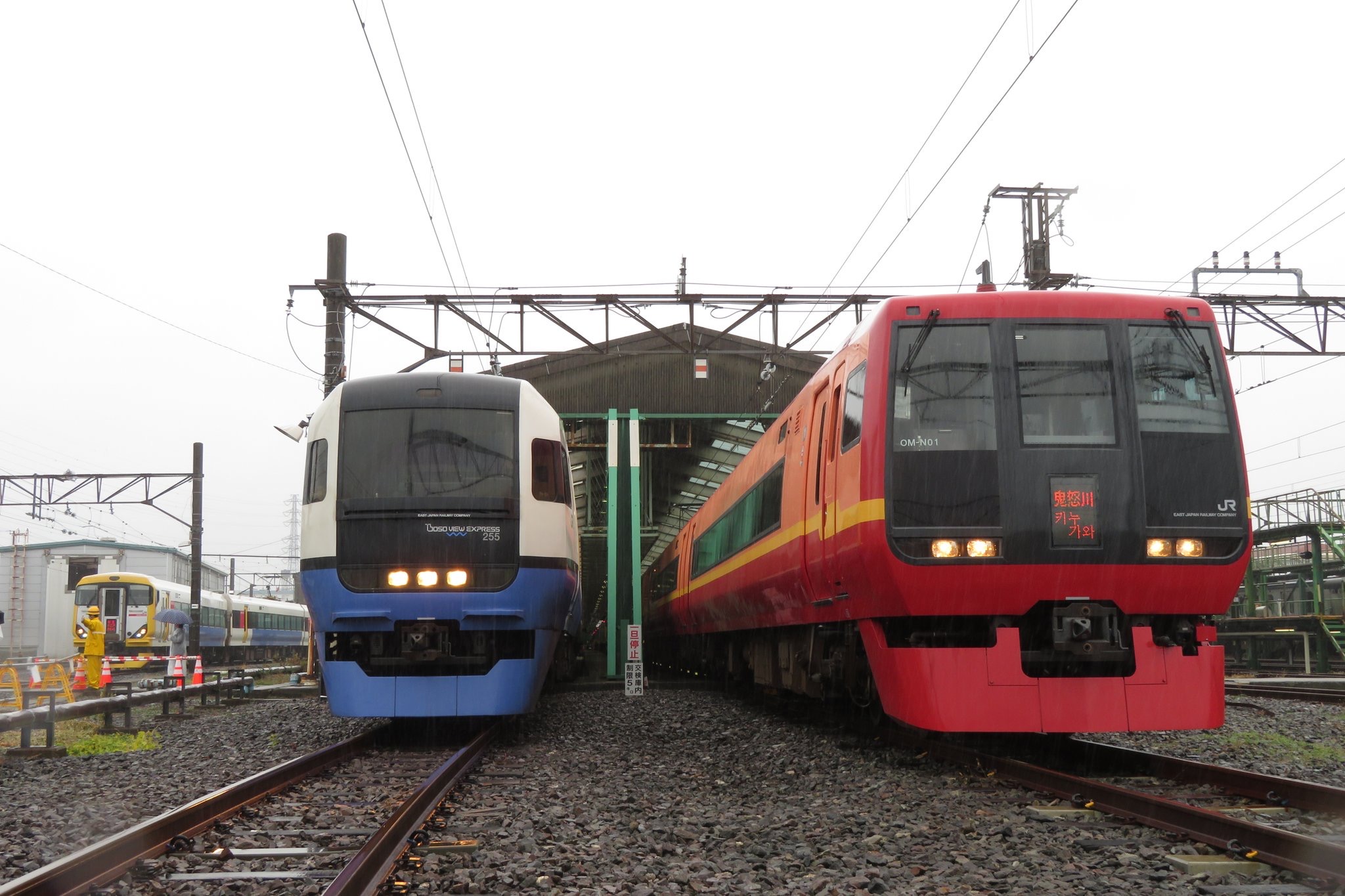 File:JR East 255 Series & 253-1000 Series.jpg - Wikimedia Commons