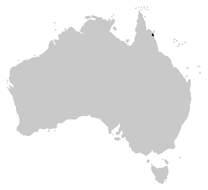 Litoria Lorica range.PNG