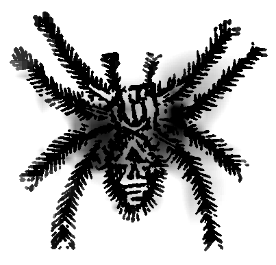 File:M. Arcta słownik ilustrowany języka polskiego - ilustracja do hasła Tarantula.png