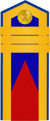 File:Mongolian Army OR-3 - Türüüch · cadet (1944-1972).png