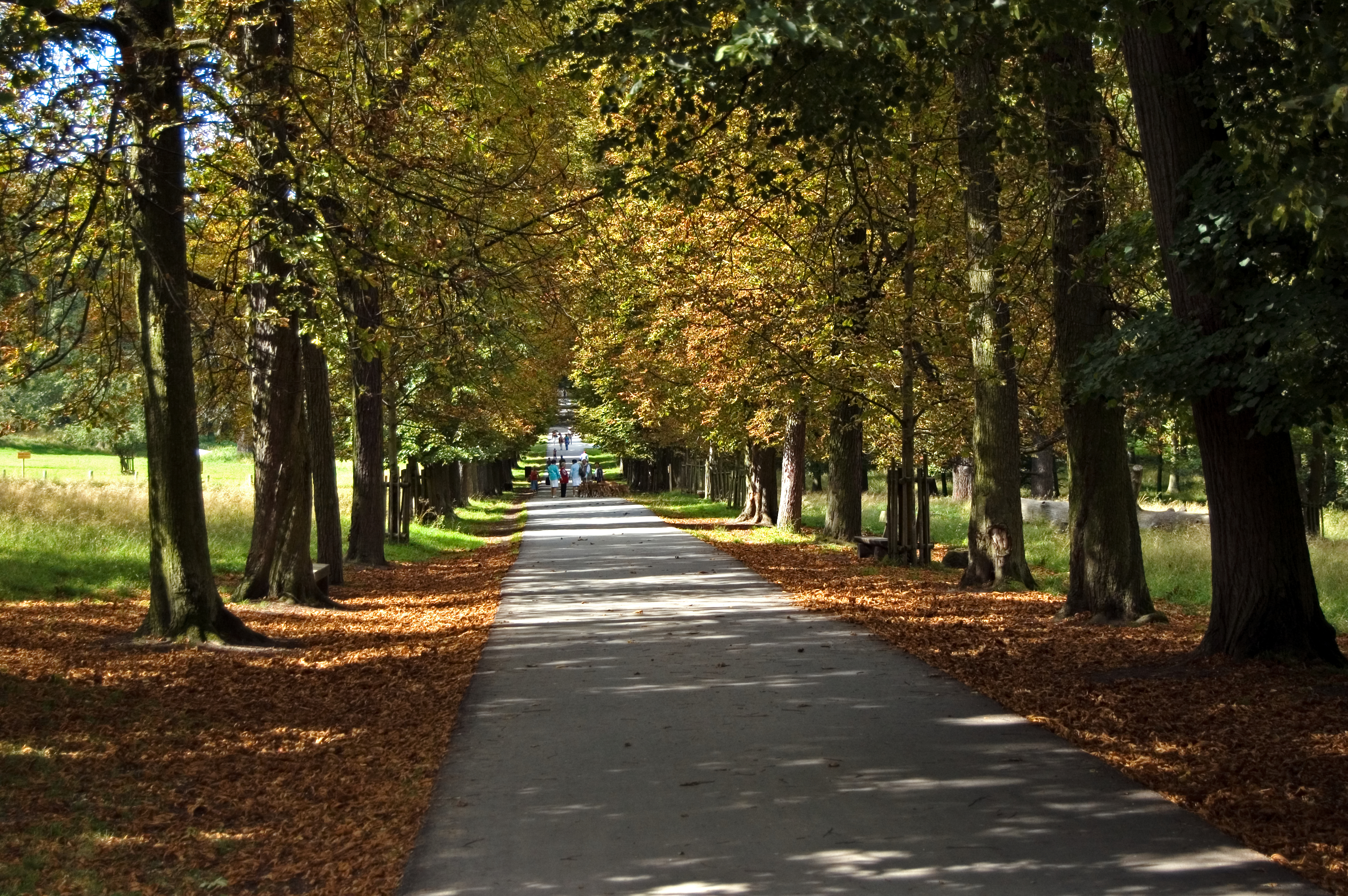 Allee im Park vom Schloss Favorite in Ludwigsburg bei Baden-Württemberg.