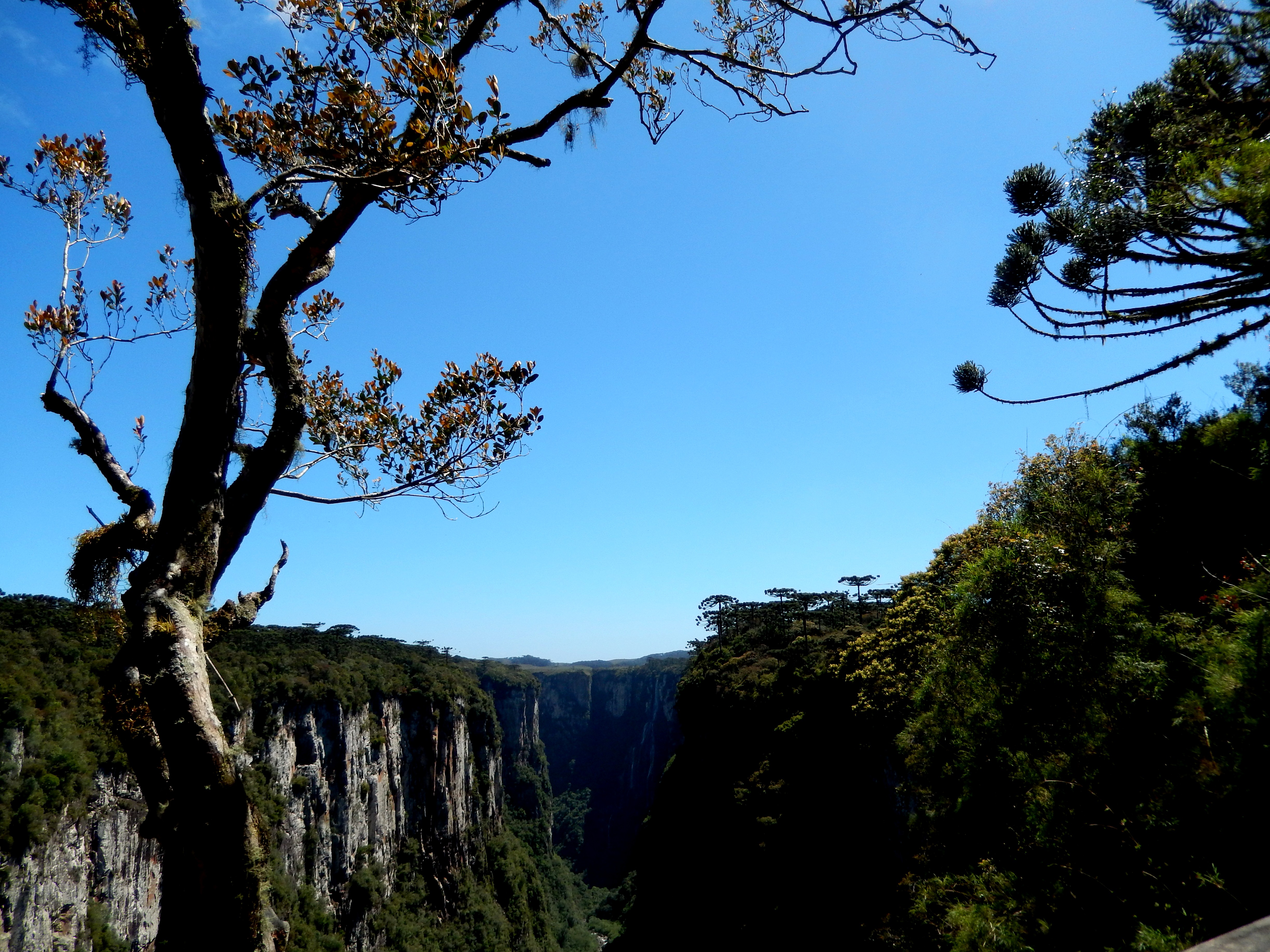 Cosas que se pueden hacer en un parque nacional