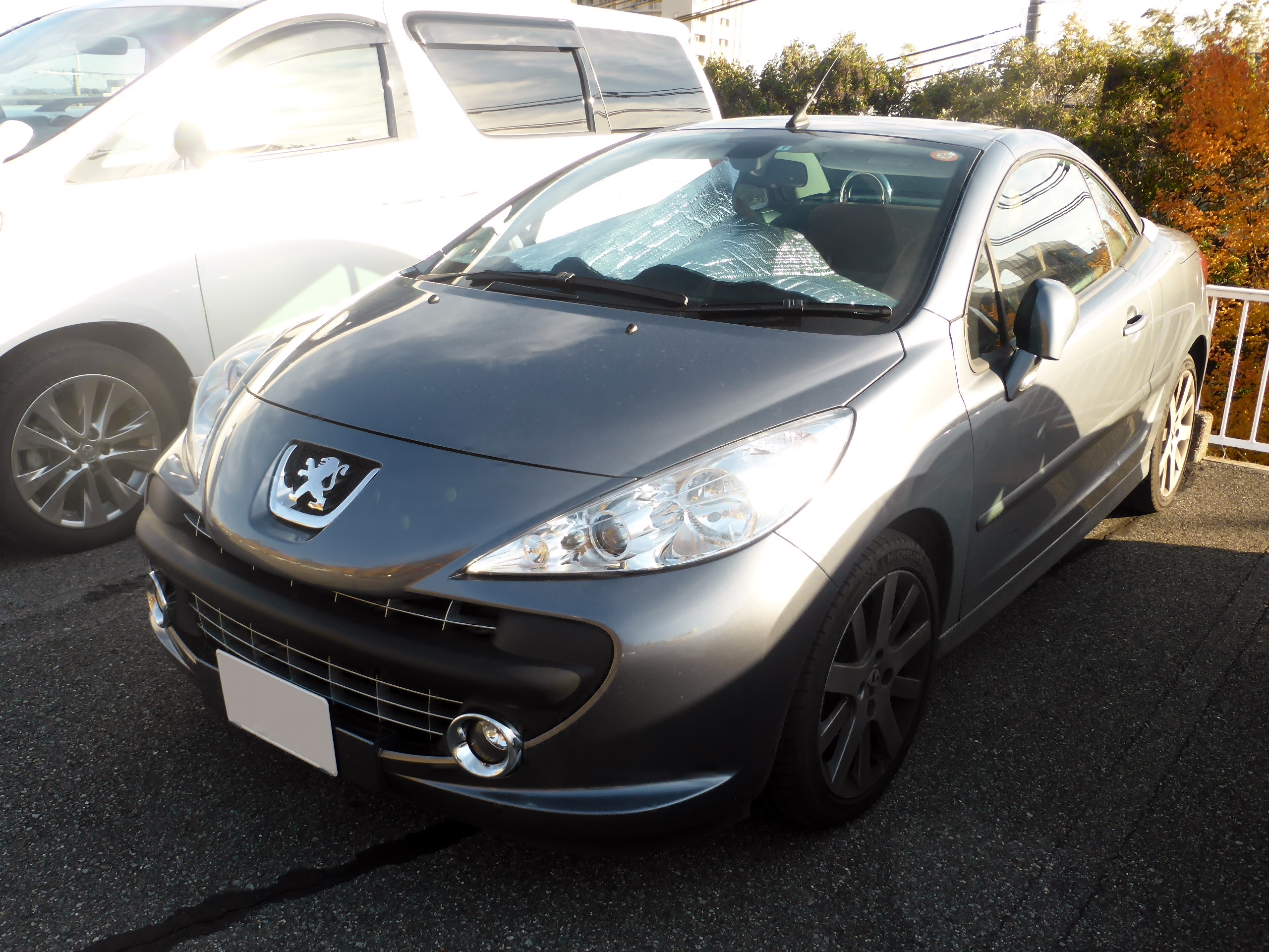 File:Peugeot 207 Facelift front 20100402.jpg - Wikimedia Commons