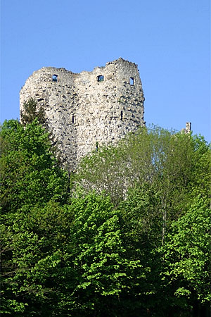 <span class="mw-page-title-main">Pfeffingen Castle</span>