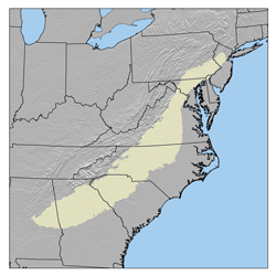 Piedmont (United States) plateau region located in the eastern United States