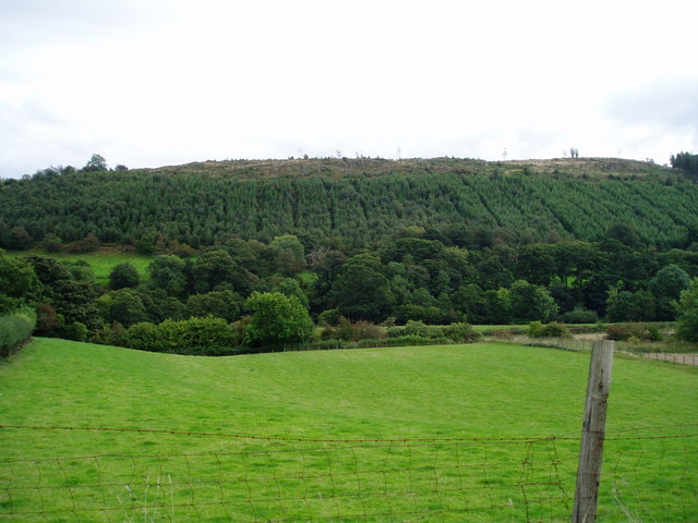 File:Plantation on Craig Arthbry - geograph.org.uk - 243661.jpg