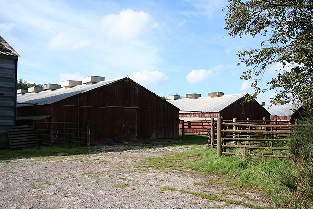 File:Rackenford, poultry farm - geograph.org.uk - 243691.jpg