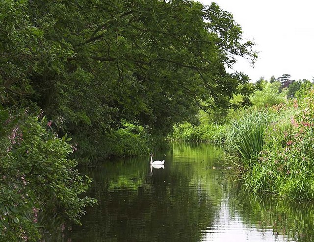 River Lee near Wheathampstead - geograph.org.uk - 213329