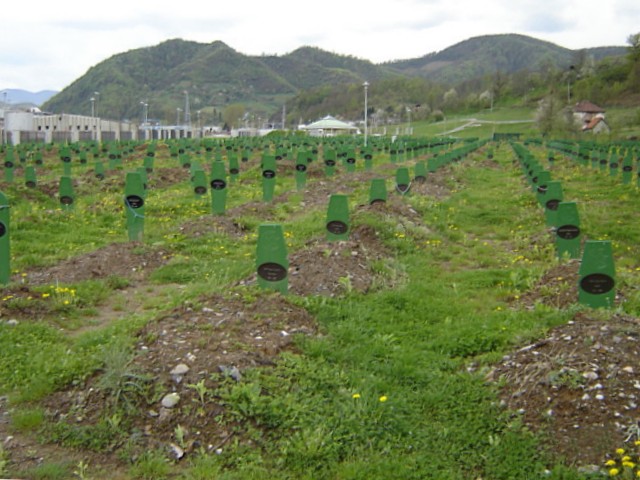 File:Srebrenica Potocari Memorial 2.JPG