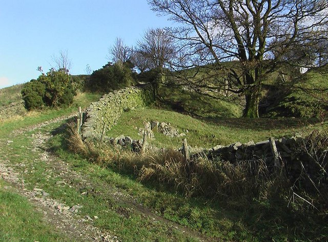 File:Track over Docker Fell - geograph.org.uk - 597055.jpg