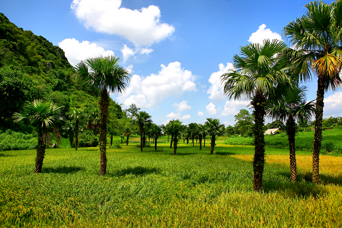 File:Tuyen Quang.jpg