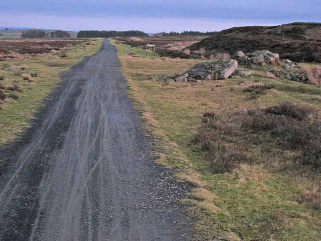 Waskerley Way - geograph.org.uk - 297833