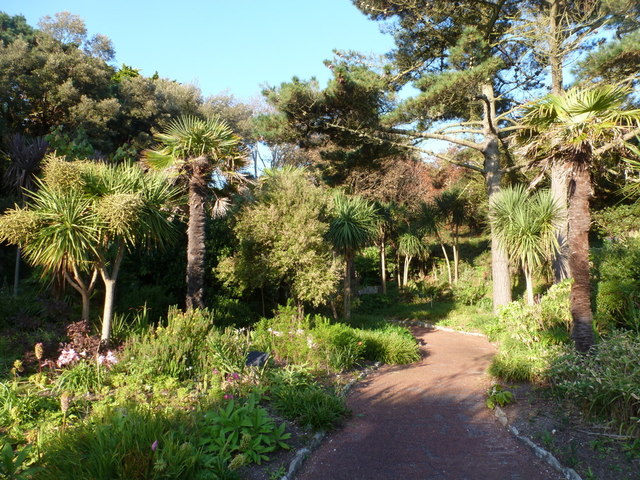 Westbourne, tropical gardens on a tropical weekend - geograph.org.uk - 2629203