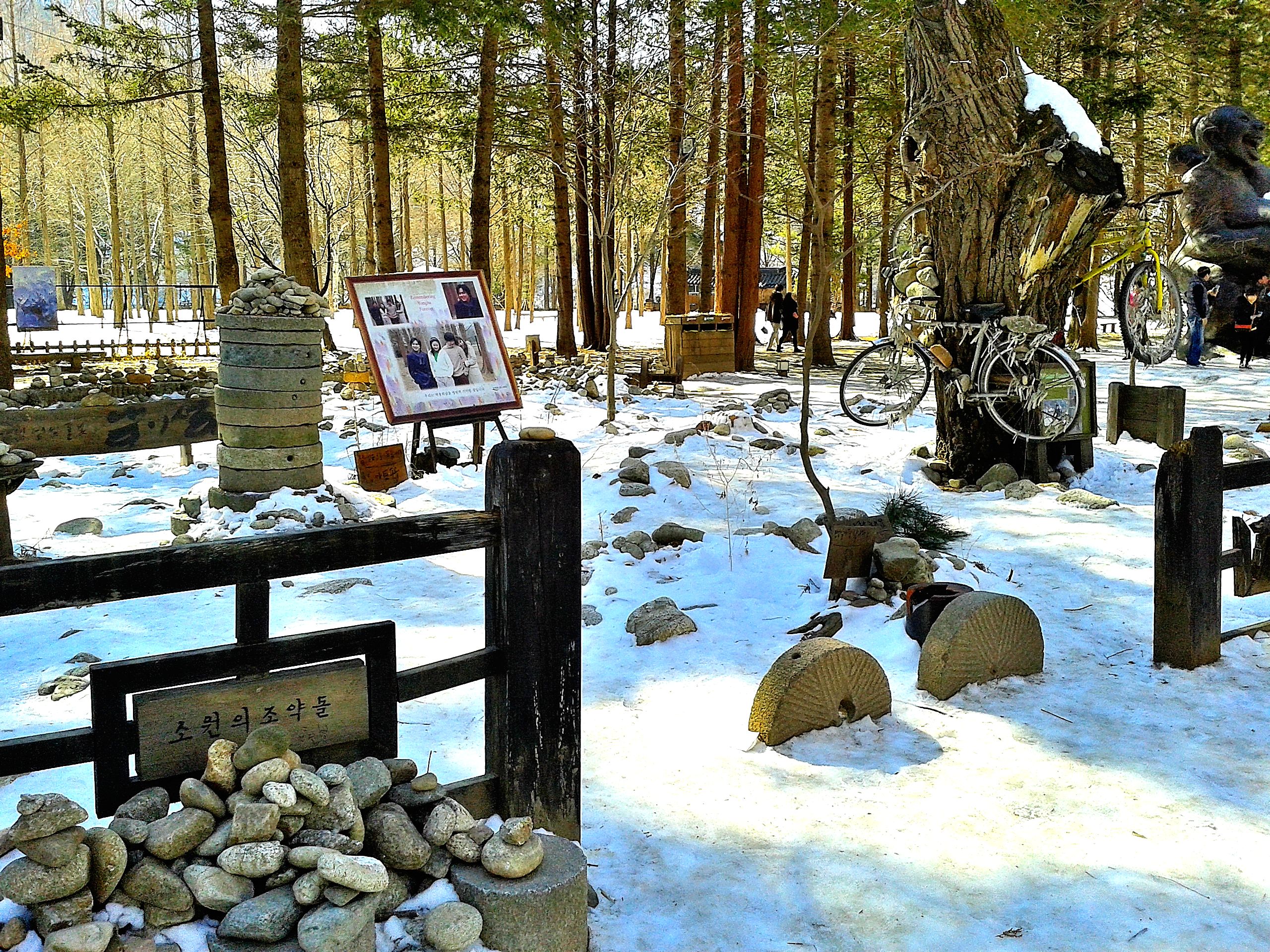 The Beautiful Oasis of Nami Island