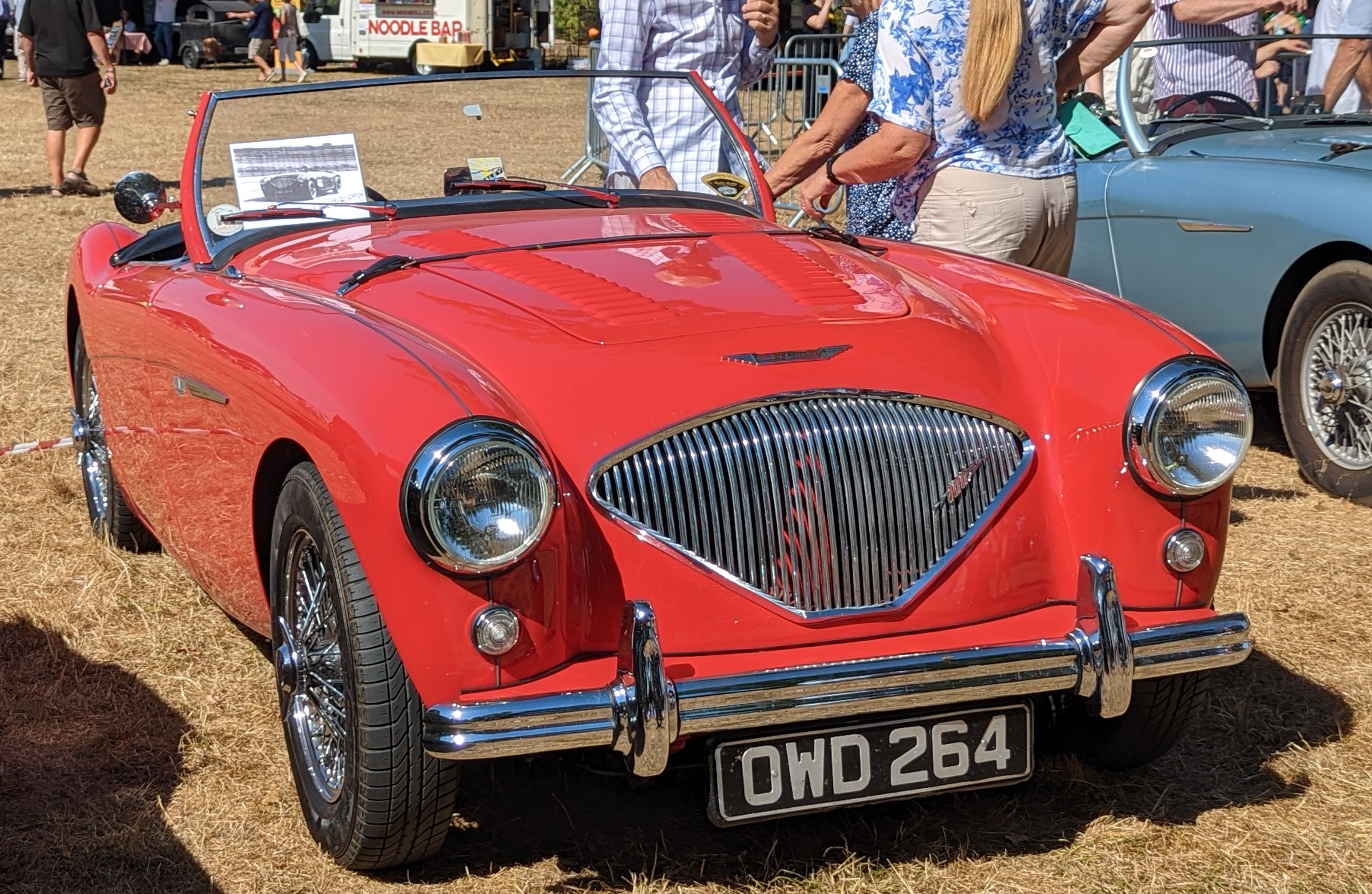 Austin Healey 100s Shelby