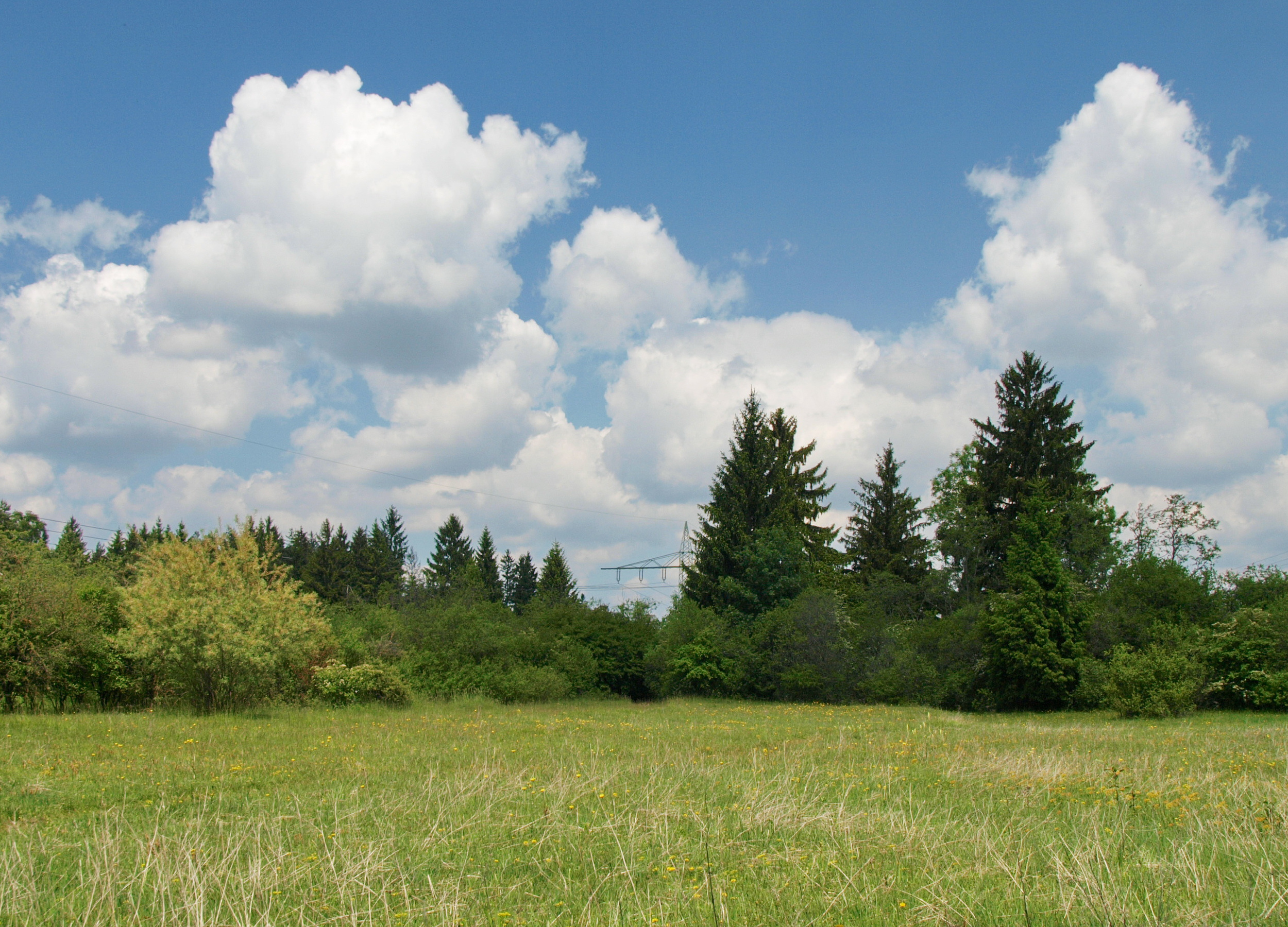 Kissinger Heide near Augsburg in northern viewing direction