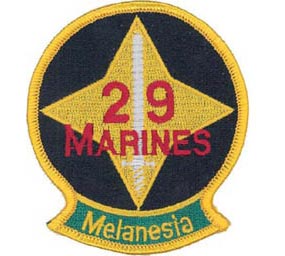 <span class="mw-page-title-main">29th Marine Regiment (United States)</span> Military unit