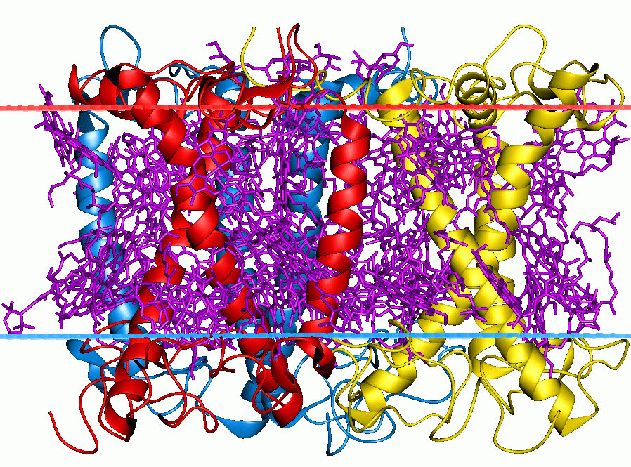 Calamity Sow delikatesse Light-harvesting complexes of green plants - Wikipedia