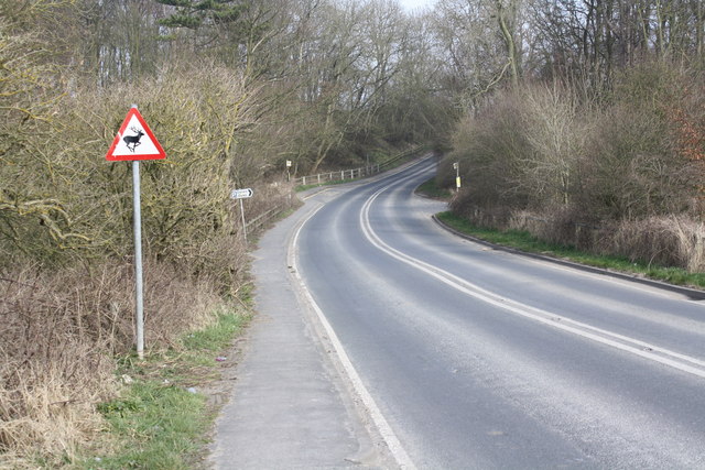 File:A Dip in the Road - geograph.org.uk - 1212554.jpg