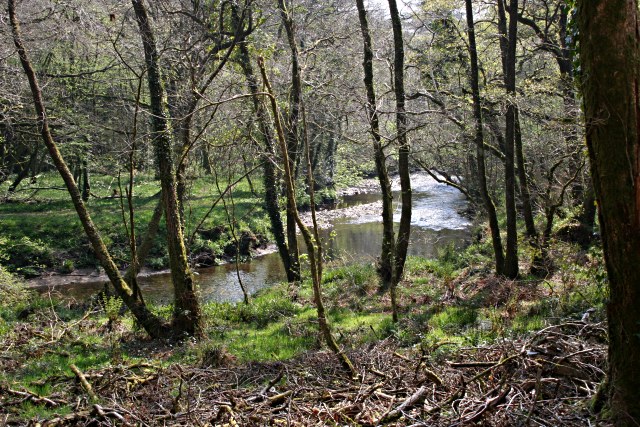 File:A Glimpse of the River - geograph.org.uk - 408018.jpg