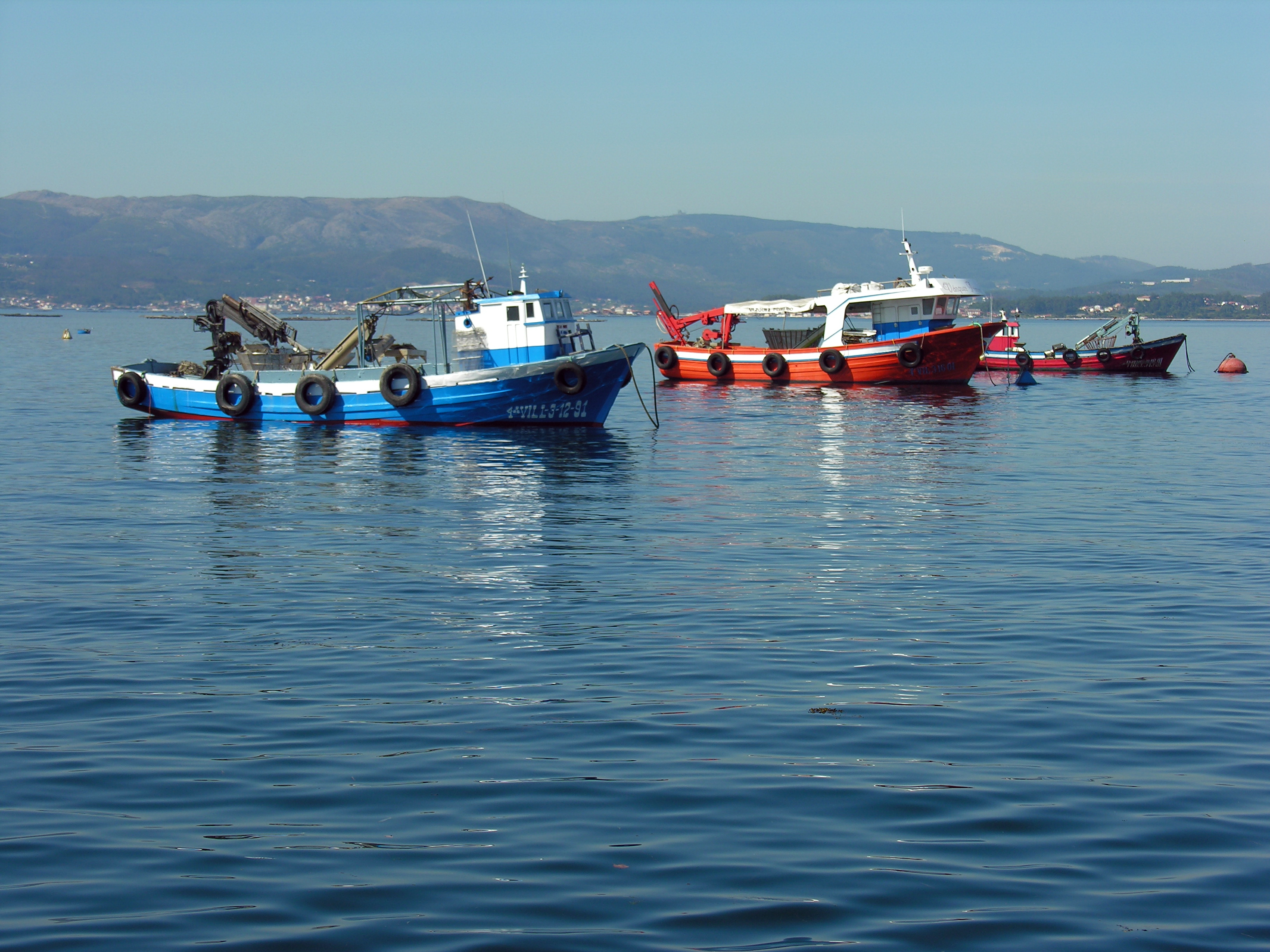 Tipos de pesca marina y su clasificación