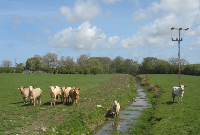 File:A drainage ditch north of the B5109 - geograph.org.uk - 1292416.jpg