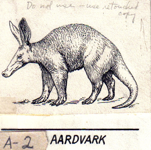 File:Aardvark (PSF).jpg