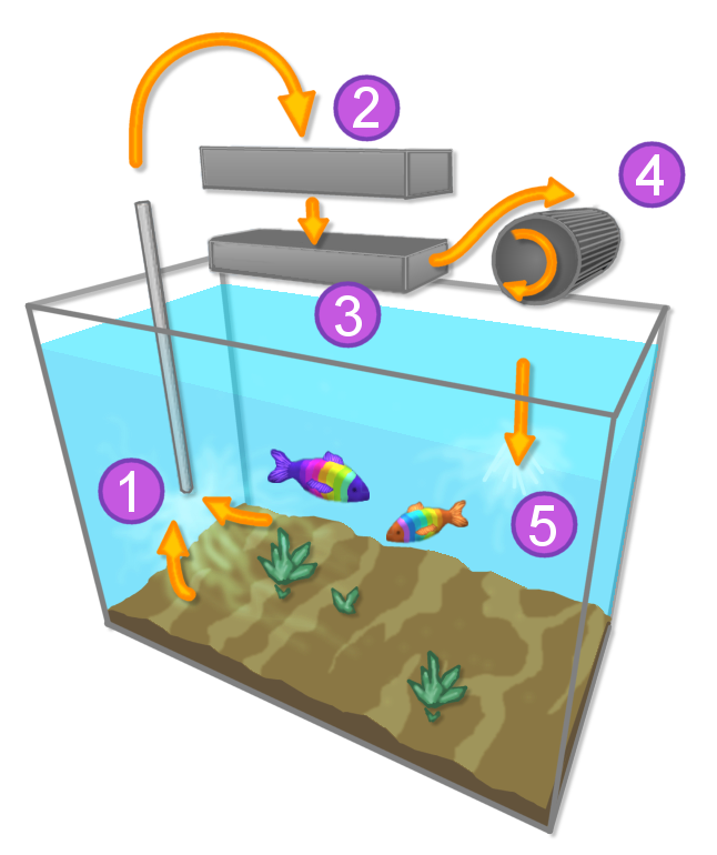 A quoi sert la ouate dans un aquarium ?