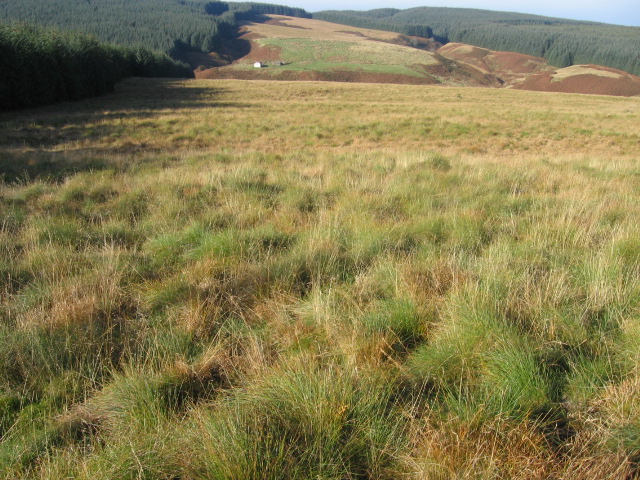 File:Black Hill to Eaglinside - geograph.org.uk - 593556.jpg