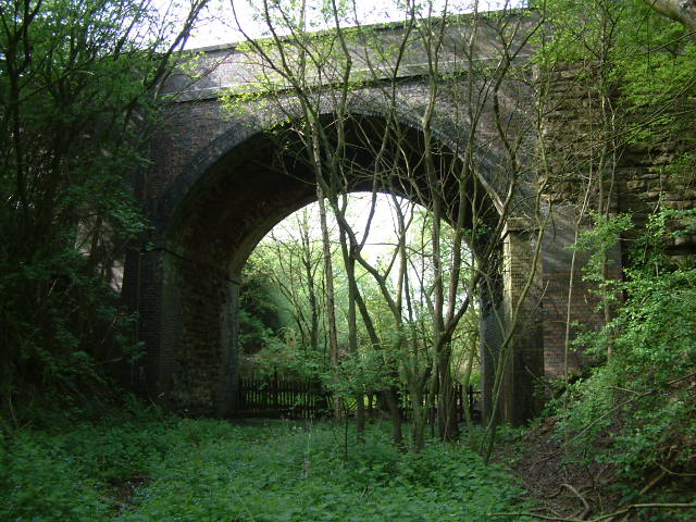 File:Bridge over Tilton Cutting - geograph.org.uk - 423640.jpg