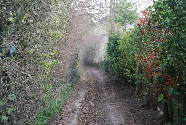 File:Byway, North Downs - geograph.org.uk - 2268761.jpg