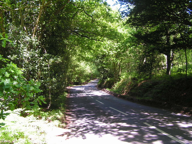 File:Byway through Ashdown Forest - geograph.org.uk - 182674.jpg