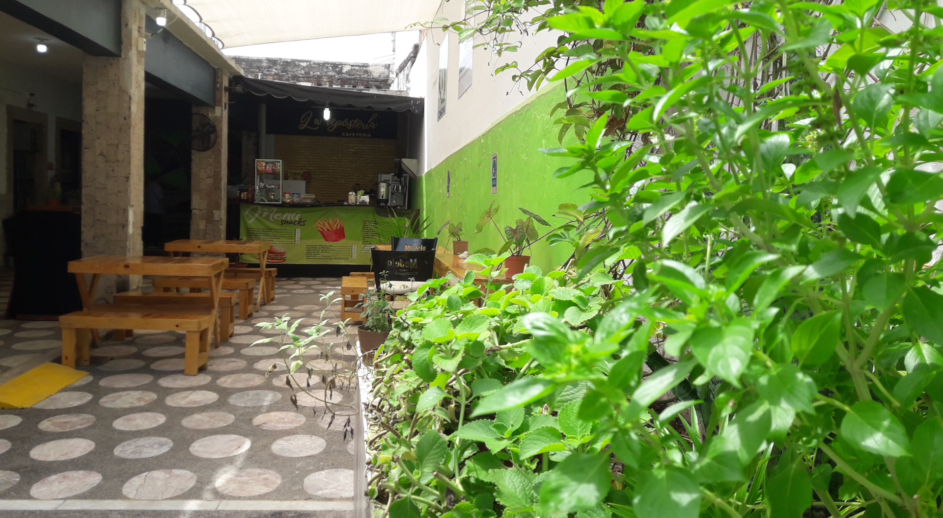 File:Cafetería en el Instituto Gastronómico Madeleine, Mazatlán, 12 de  septiembre de 2022  - Wikimedia Commons