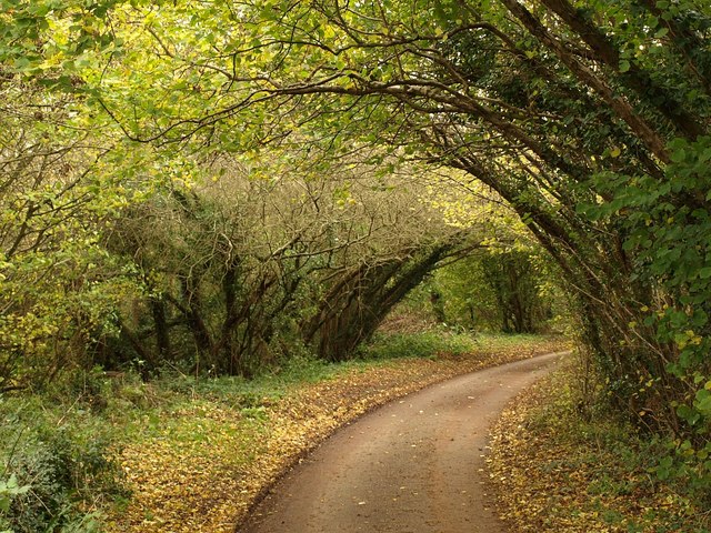 File:Coxland's Rock at Halse Water - geograph.org.uk - 1594309.jpg