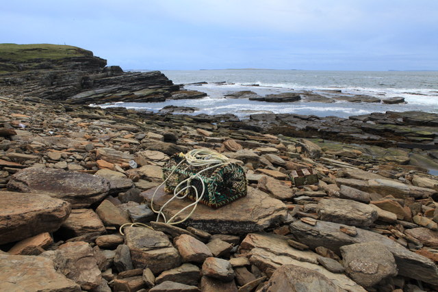 File:Creel washed ashore on South Walls - geograph.org.uk - 1547783.jpg