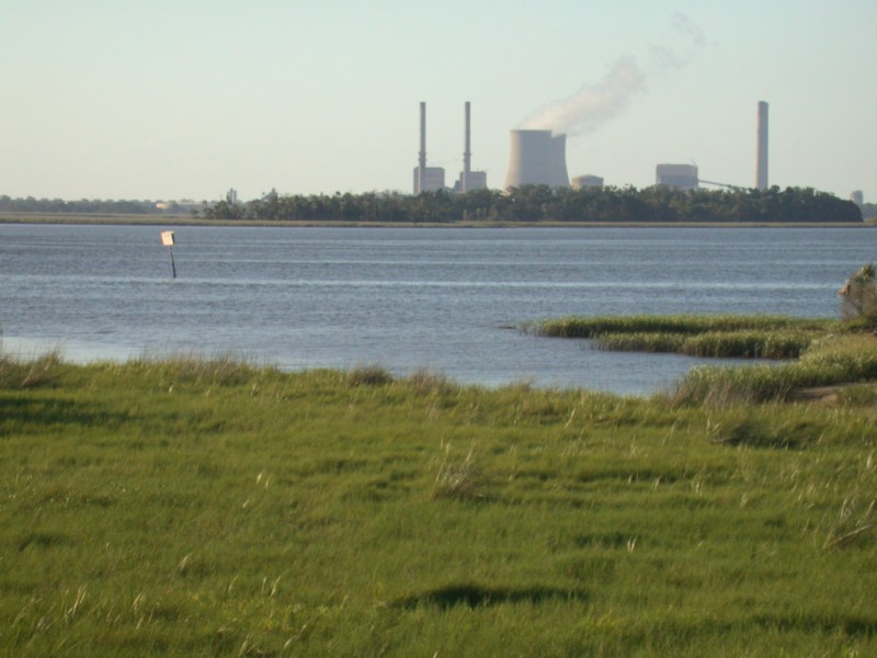 File:Crystal river NPP afar.jpg