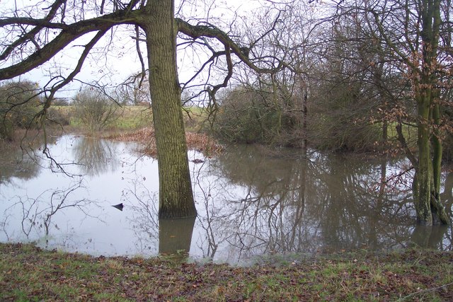 File:Drainage Pond near Goose Green - geograph.org.uk - 1618625.jpg