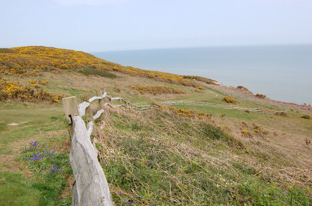 File:Firehills, Fairlight - geograph.org.uk - 789016.jpg