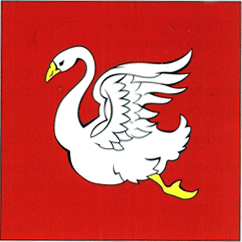 File:Flag of Bovtyshka.png