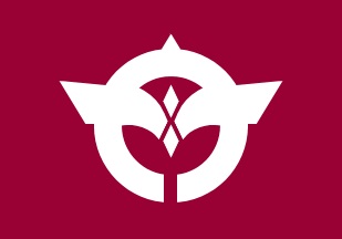 File:Flag of Iwafune Tochigi.JPG