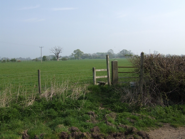 File:Footpath to Bradley - geograph.org.uk - 401351.jpg